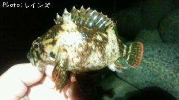 �����Υ�����饽��