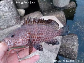 �������ϥ�