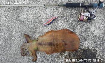 �����ꥤ��