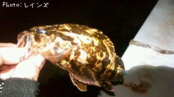 �����Υ���Х�