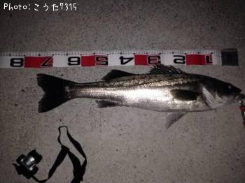 �����Х�