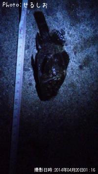 ����饽����