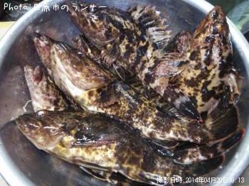 ¥¿¥±¥Î¥³¥á¥Ð¥ë