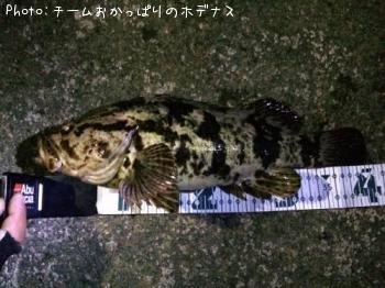 �����Υ���Х�