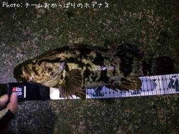 �����Υ���Х�