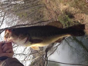 �֥�å��Х�