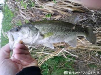 �֥�å��Х�