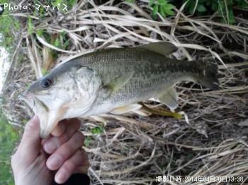 �֥�å��Х�