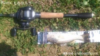 ¥Ö¥é¥Ã¥¯¥Ð¥¹