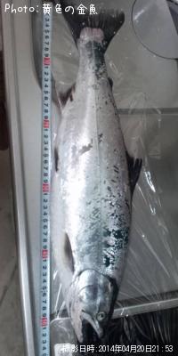 ¥µ¥¯¥é¥Þ¥¹