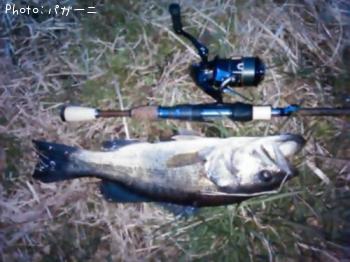 ¥Ö¥é¥Ã¥¯¥Ð¥¹