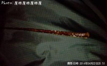 ������Ϸ�γѡʡ�������