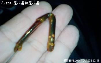 ������Ϸ�μ꤫­�ʡ�������