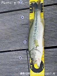 �֥�å��Х�