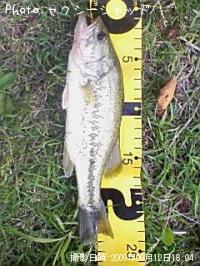 �֥�å��Х�