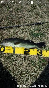 ¥Ö¥é¥Ã¥¯¥Ð¥¹