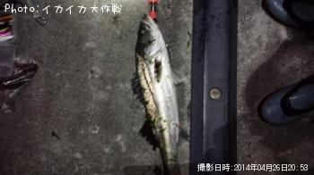 �����Х�