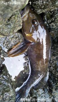 �����ʥ�