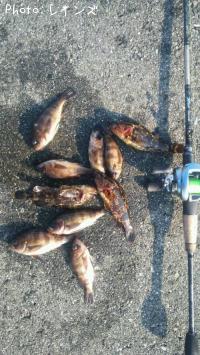 ��Х�������Υ�