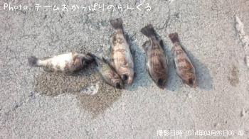 ¥á¥Ð¥ë¤¿¤Á