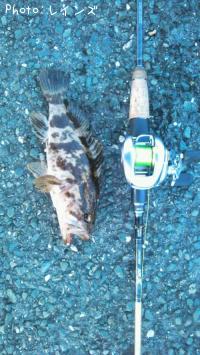 �����Υ���Х�