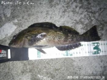 �����ʥ�