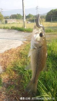 ¥Ö¥é¥Ã¥¯¥Ð¥¹