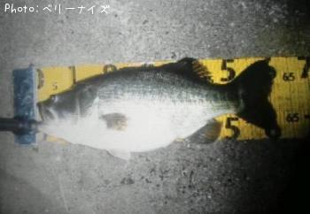 �֥�å��Х�