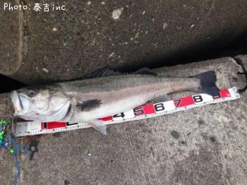 �����Х�