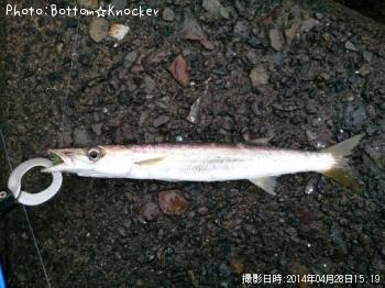 �������ޥ�