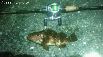 ¥¿¥±¥Î¥³¡õ¥¢¥¤¥Ê¥á