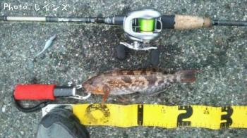 ¥¿¥±¥Î¥³¡õ¥¢¥¤¥Ê¥á