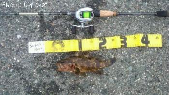 ¥¿¥±¥Î¥³¡õ¥¢¥¤¥Ê¥á