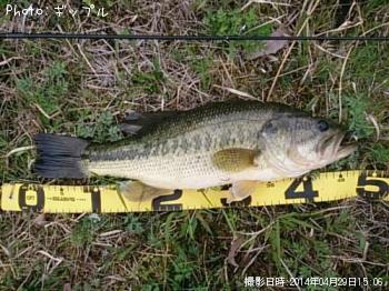 ¥Ö¥é¥Ã¥¯¥Ð¥¹