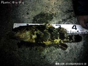 ¥Ù¥Ã¥³¥¦¥½¥¤