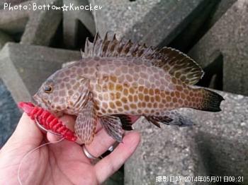 �������ϥ�