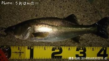 �����Х�