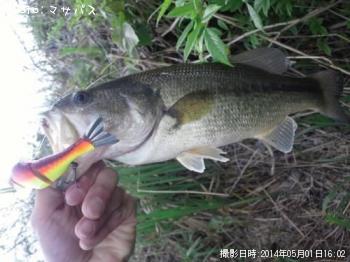 �֥�å��Х�