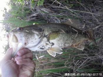 �֥�å��Х�