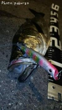 �����Х�