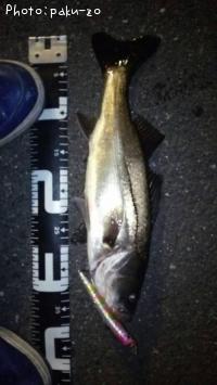 �����Х�