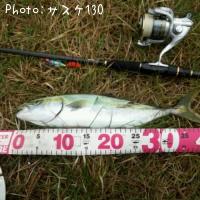 ���ʥ���