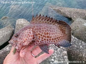 �������ϥ�