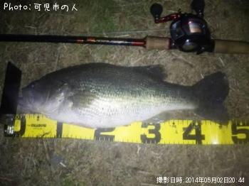 ¥Ö¥é¥Ã¥¯¥Ð¥¹