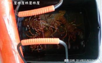 ������Ϸ