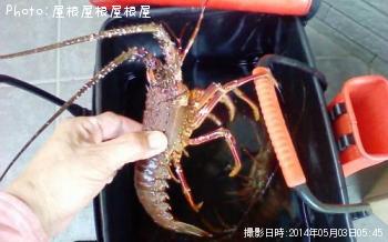 ������Ϸ