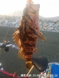 ¥¿¥±¥Î¥³¥á¥Ð¥ë