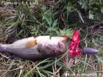 ¥Ö¥é¥Ã¥¯¥Ð¥¹