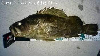 ¡¡¥¿¥±¥Î¥³¥á¥Ð¥ë