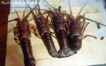 ������Ϸ